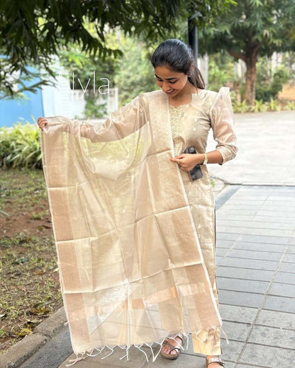 Elegant Tissue Shimmer  kurti with embroidery on neck line with 3/4th  puff sleeves